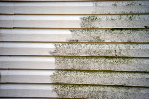 Best Moving and Downsizing Cleanouts  in Fruitville, FL